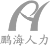 河北鹏海人力资源服务有限公司